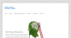 Desktop Screenshot of braininjurysupportcenter.com
